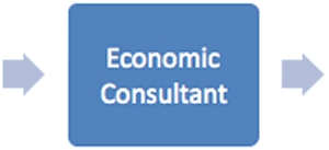 economic consultant