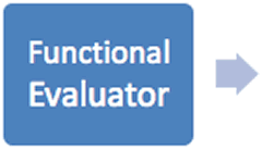 Functional Evaluator
